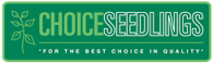 Choice Seedlings - Head Grower